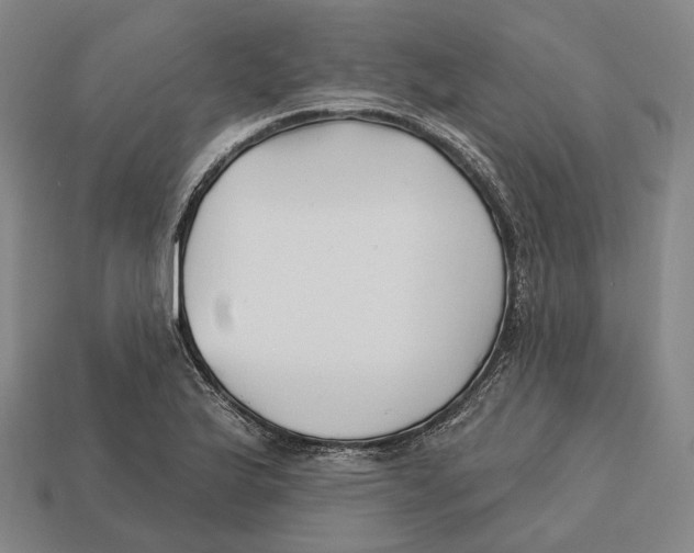 X0000113121175200909251106