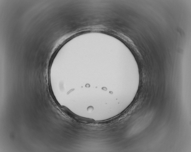 X0000113121176200909251106