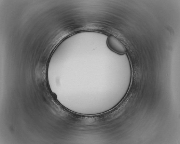 X0000113121177200909251106