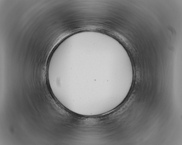 X0000113121178200909251106