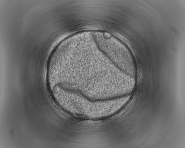 X0000113121179200909251106