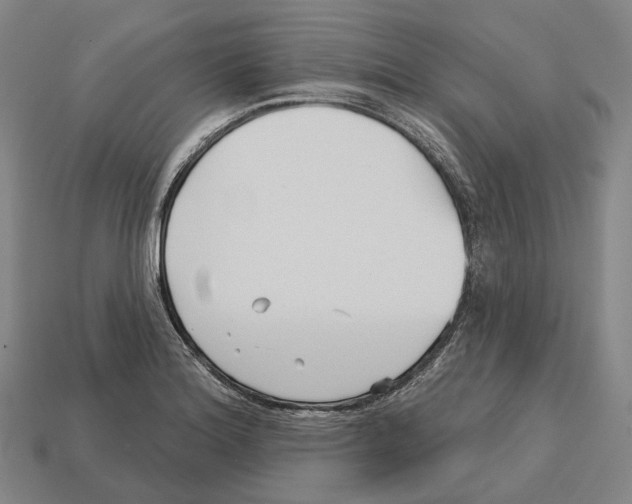 X0000113121180200909251106