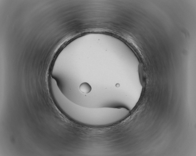 X0000113121181200909251106
