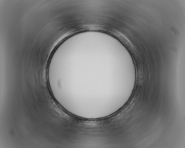 X0000113121182200909251106
