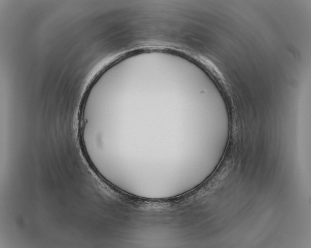 X0000113121183200909251106