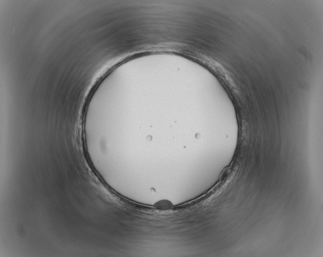 X0000113121184200909251106