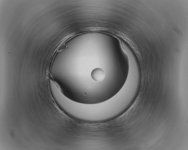 X0000113121185200909251106