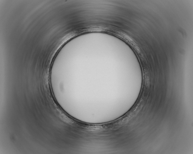 X0000113121186200909251106