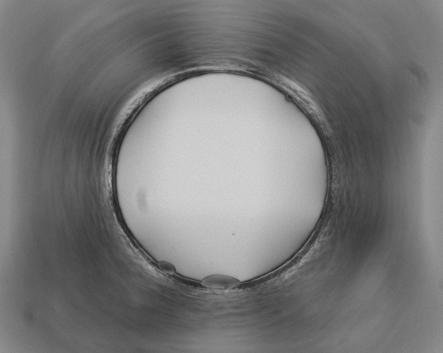 X0000113121188200909251106