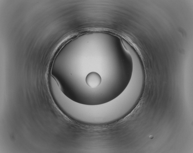 X0000113121189200909251106