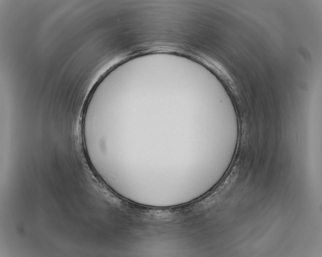 X0000113121190200909251106