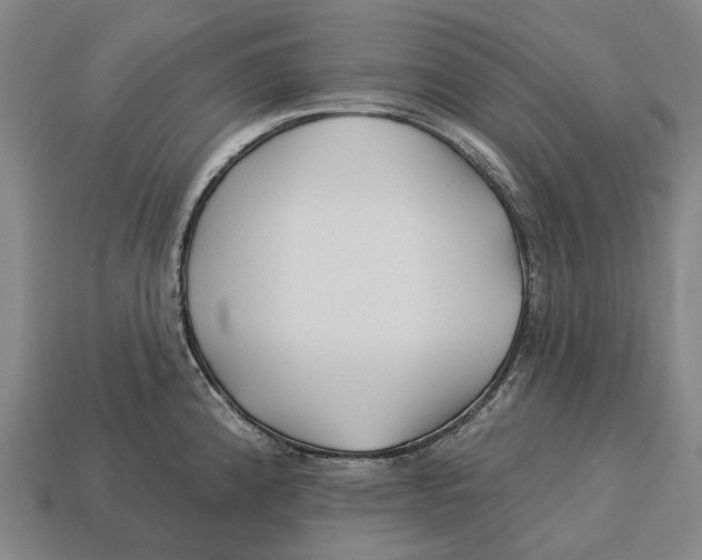 X0000113121192200909251106