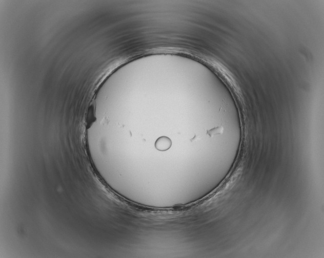 X0000113121193200909251106