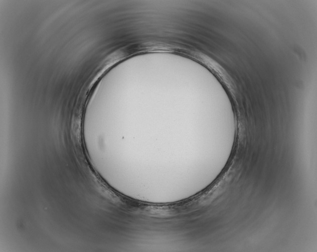 X0000113121194200909251106