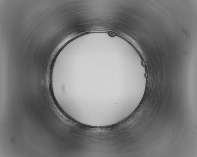 X0000113121195200909251106