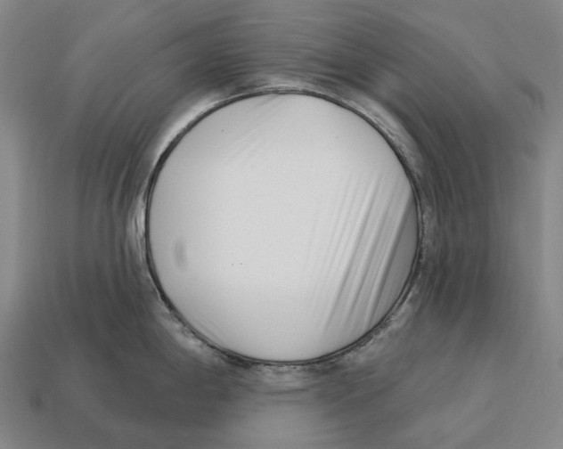 X0000113121198200909251106