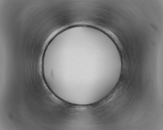 X0000113121199200909251106
