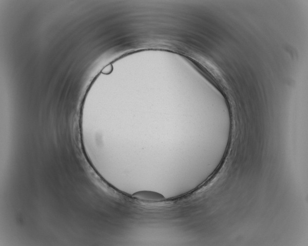 X0000113121200200909251106