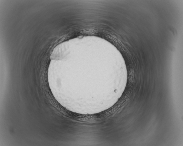 X0000113121201200909251105