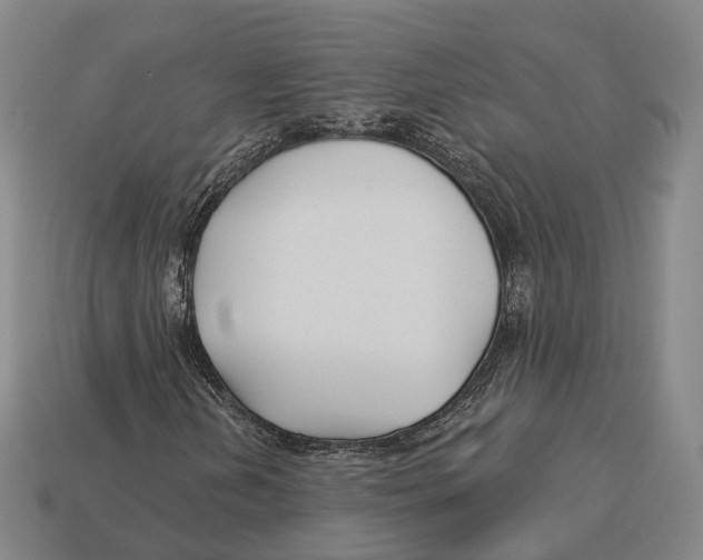 X0000113121202200909251105