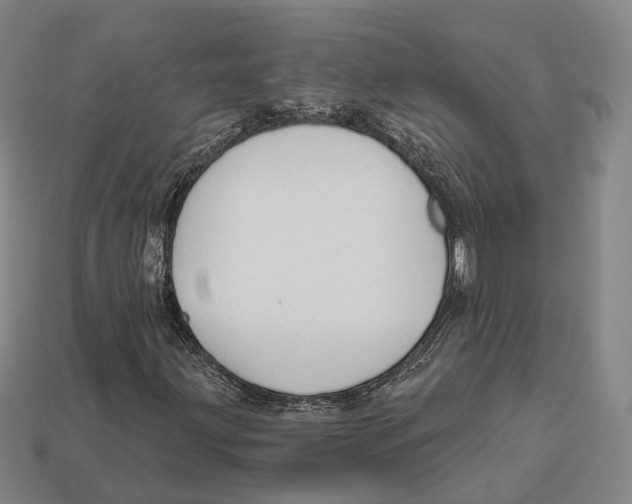 X0000113121203200909251105