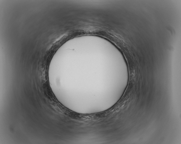X0000113121205200909251105