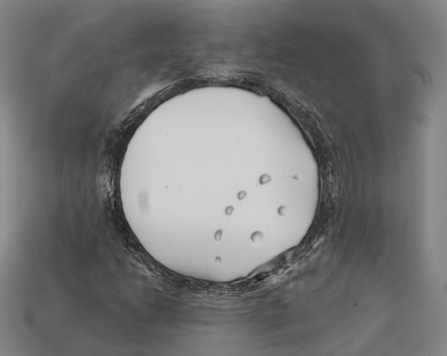 X0000113121206200909251105