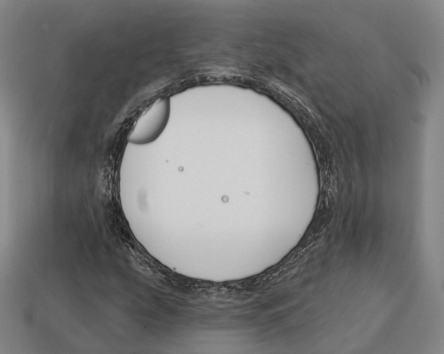 X0000113121207200909251105