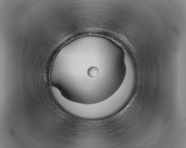 X0000113121209200909251106