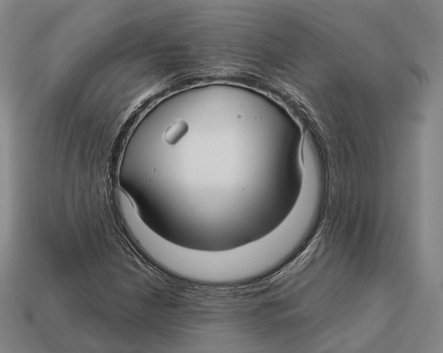 X0000113121210200909251106