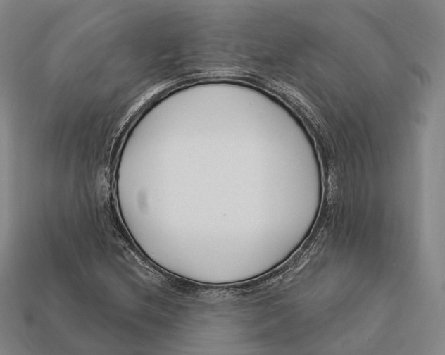 X0000113121212200909251106