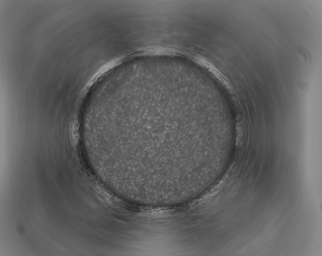 X0000113121213200909251106