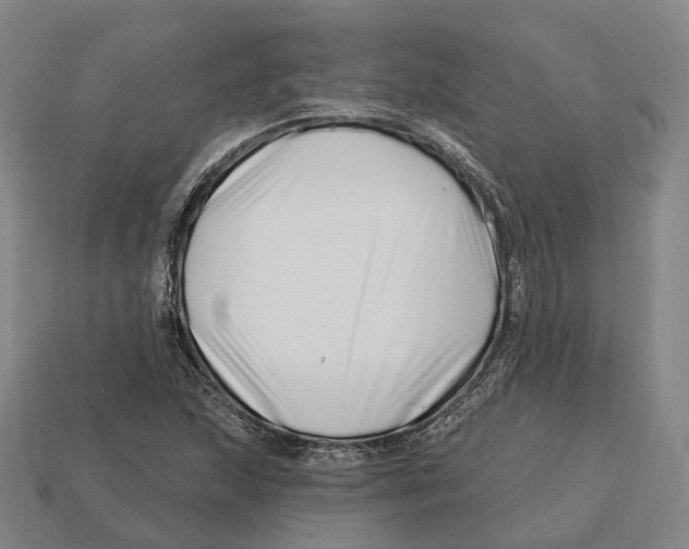 X0000113121215200909251106