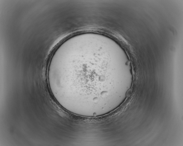 X0000113121216200909251106