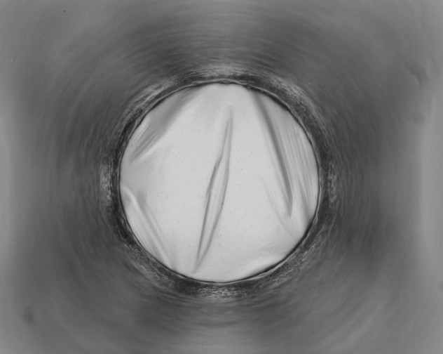 X0000113121217200909251106
