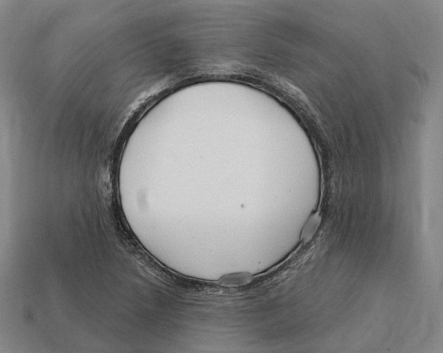 X0000113121218200909251106