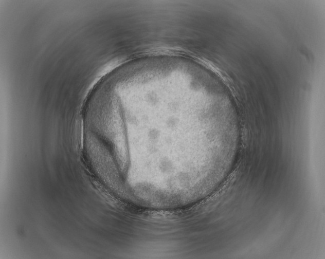 X0000113121219200909251106