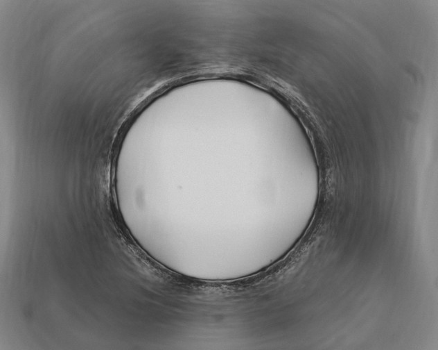 X0000113121220200909251106