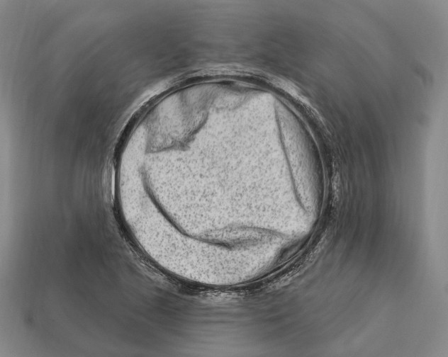 X0000113121221200909251106