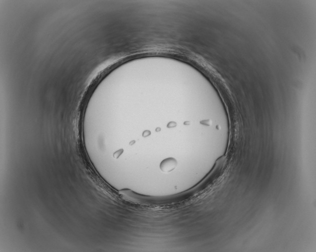 X0000113121222200909251106