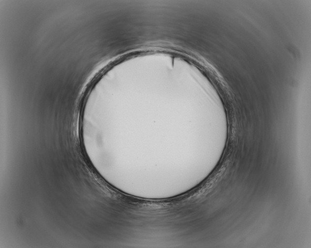 X0000113121224200909251106
