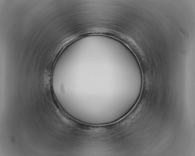 X0000113121225200909251106