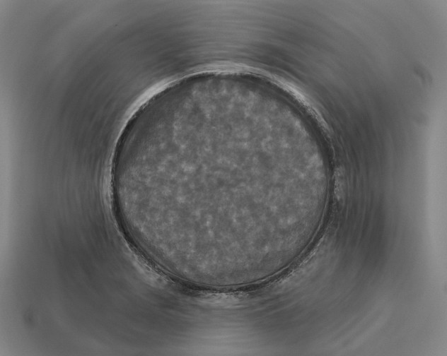 X0000113121229200909251106