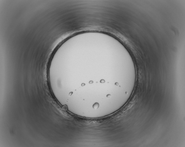 X0000113121230200909251106