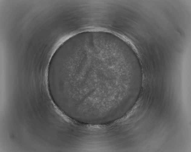 X0000113121231200909251106