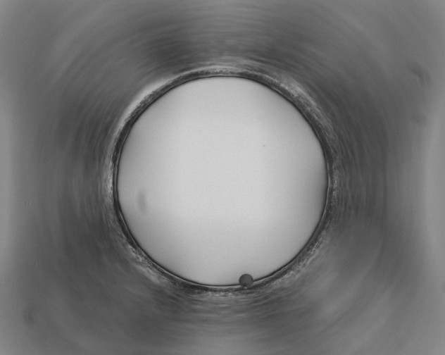 X0000113121232200909251106