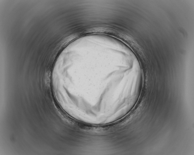 X0000113121233200909251106