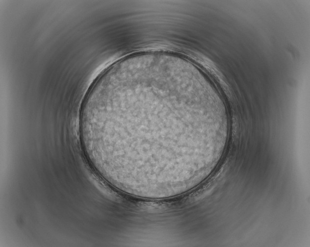 X0000113121234200909251106