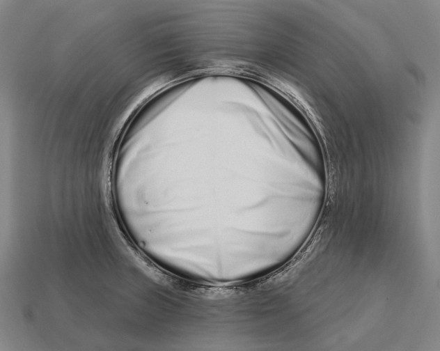 X0000113121235200909251106