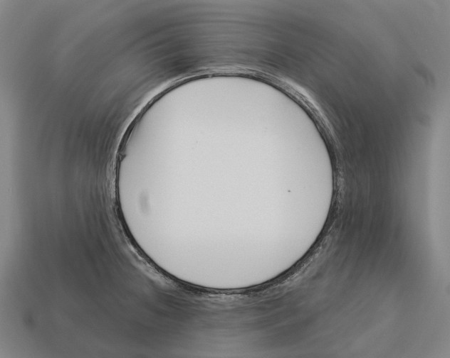 X0000113121236200909251106